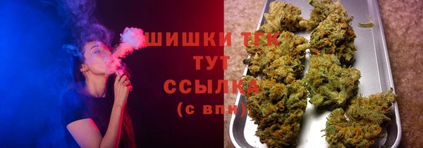 ГАЛЛЮЦИНОГЕННЫЕ ГРИБЫ Алзамай
