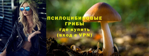 дживик Алексин