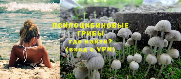 дживик Алексин