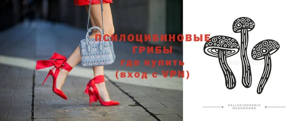 ГАЛЛЮЦИНОГЕННЫЕ ГРИБЫ Алзамай