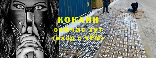 дживик Алексин
