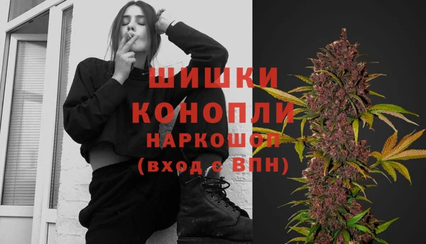 ГАЛЛЮЦИНОГЕННЫЕ ГРИБЫ Алзамай