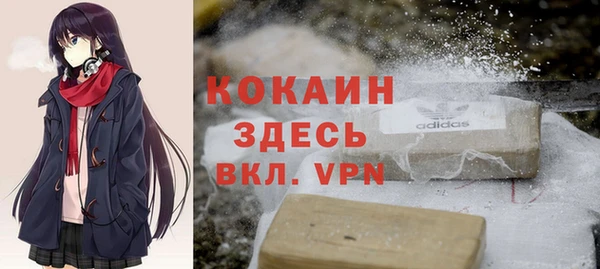 дживик Алексин